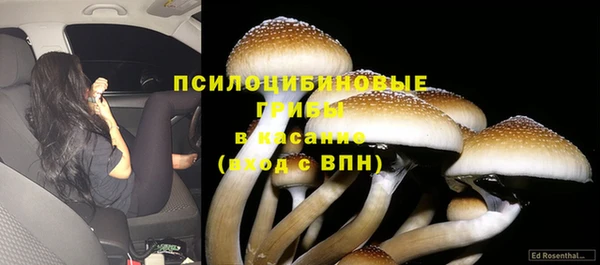 MESCALINE Абаза