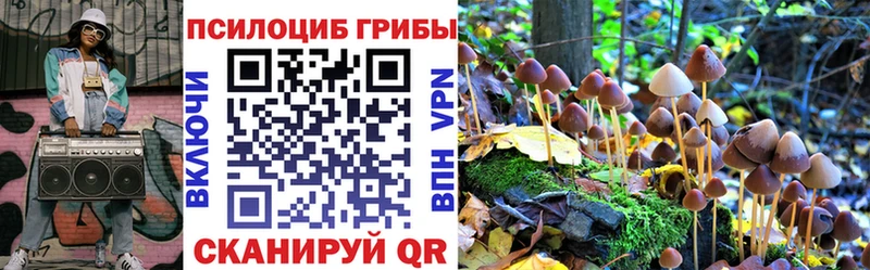 Псилоцибиновые грибы прущие грибы  Кораблино 